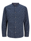 Plava