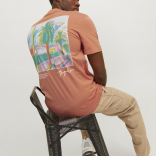 Muška majica Aruba
