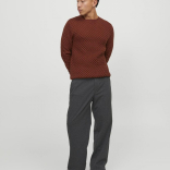 Muške pantalone Karl