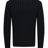 Muški džemper Raul