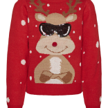 Dečiji džemper Newtinsel