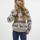 Dečiji džemper Deers