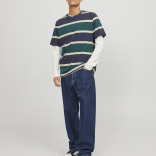 Muške farmerice Eddie