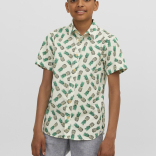 Dečija košulja James