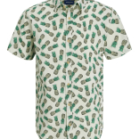 Dečija košulja James