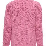 Dečiji džemper Erica