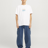 Muške pantalone Bill