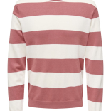 Muški džemper Wyler