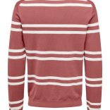 Muški džemper Wyler