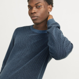 Muški džemper Globe