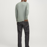 Muški džemper Emil