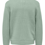 Muški kadigan  Anthony