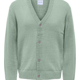 Muški kadigan  Anthony