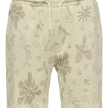 Muški šorts Baggio