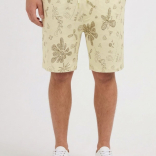 Muški šorts Baggio