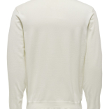 Muški džemper Wyler