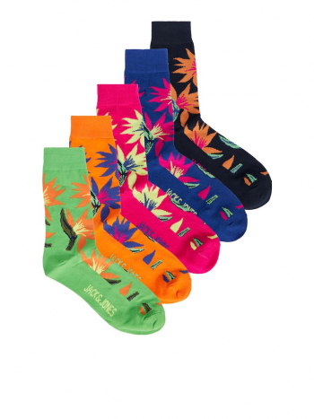Muški set čarapa Tropical