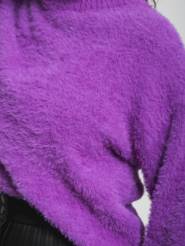 Ženski džemper Iggy