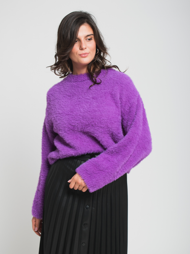 Ženski džemper Iggy