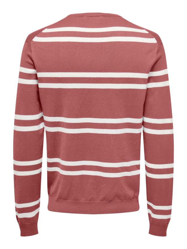 Muški džemper Wyler